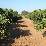 Quinta Da Fornalha - Santuario Agroecologico בית חווה קסטרו מארים