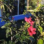 Quinta Da Fornalha - Santuario Agroecologico 팜스테이 *