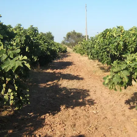 Quinta Da Fornalha - Santuario Agroecologico Farm stay Castro Marim