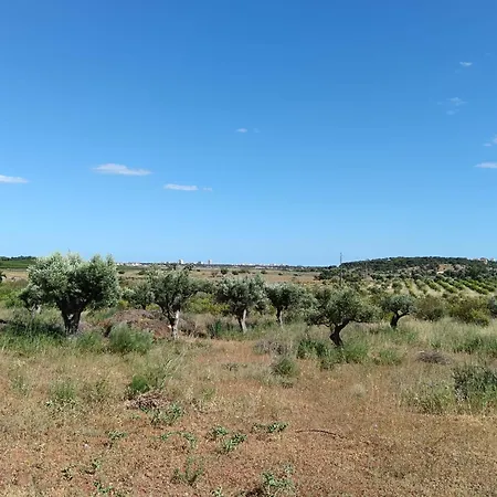 Vakantieboerderij Quinta Da Fornalha - Santuario Agroecologico Castro Marim