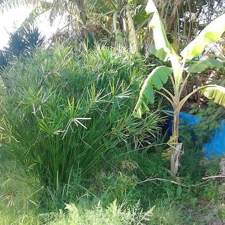 Quinta Da Fornalha - Santuario Agroecologico