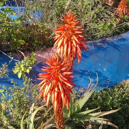 Quinta Da Fornalha - Santuario Agroecologico Castro Marim