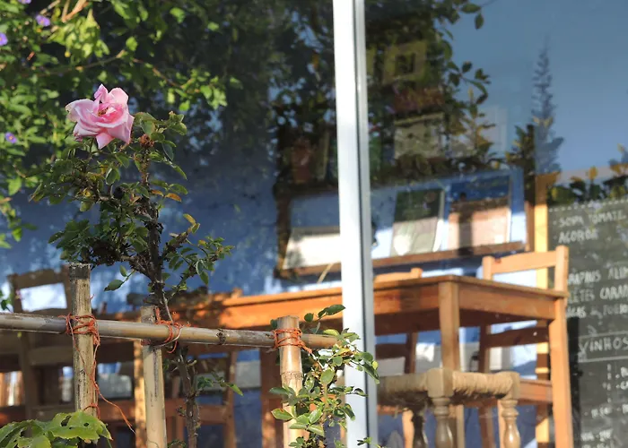 Quinta Da Fornalha - Santuario Agroecologico Vakantieboerderij *