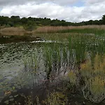 Quinta Da Fornalha - Santuario Agroecologico Farmház Castro Marim