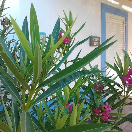 Quinta Da Fornalha - Santuario Agroecologico Castro Marim