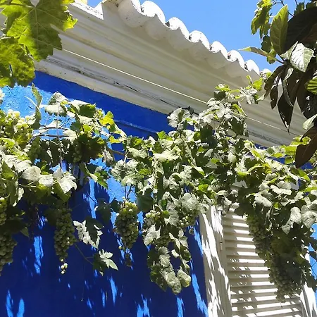 Quinta Da Fornalha - Santuario Agroecologico