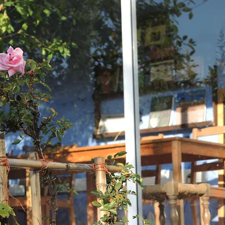 Quinta Da Fornalha - Santuario Agroecologico Gospodarstwo agroturystyczne *