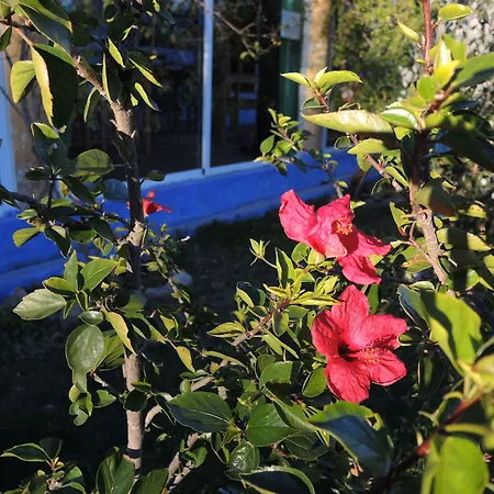 Quinta Da Fornalha - Santuario Agroecologico Gospodarstwo agroturystyczne *