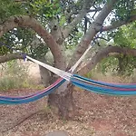 Quinta Da Fornalha - Santuario Agroecologico Castro Marim
